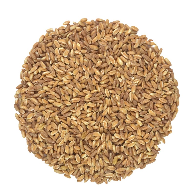 Organic Italian Pearled Farro - Imported, Raw, Non-Gmo, Vegan, Bulk, Protein, Fiber Rich (22Lb)