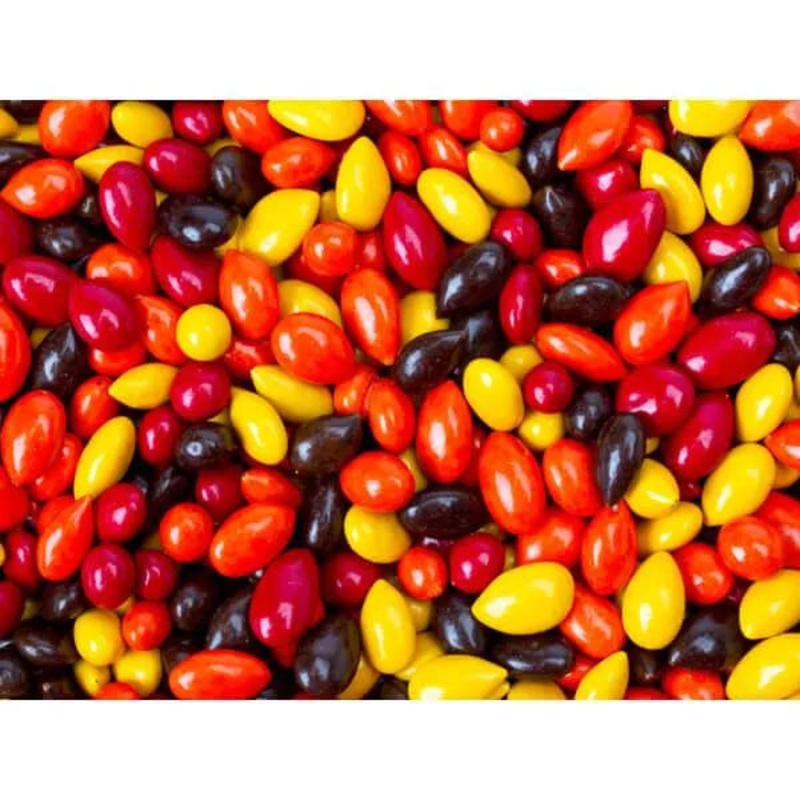 Sunbursts Chocolate Sunflower Seeds - Autumn Colors Assortment: 1LB Bag