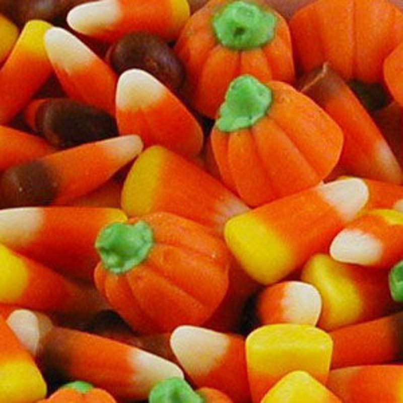 Zachary Autumn Mix 30lb Case