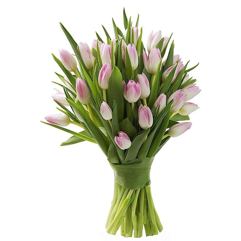 Kabloom Flowers -Valentine'S Day Collection - 20 Pink Tulips Without Vase, Gift For Birthday, Sympathy, Anniversary, Get Well, T