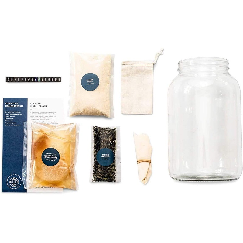 Kombucha Starter Kit - Organic Kombucha Scoby & Strong Starter Liquid. Make Delicious Kombucha At Home With Our Usa Made 1 Gallo