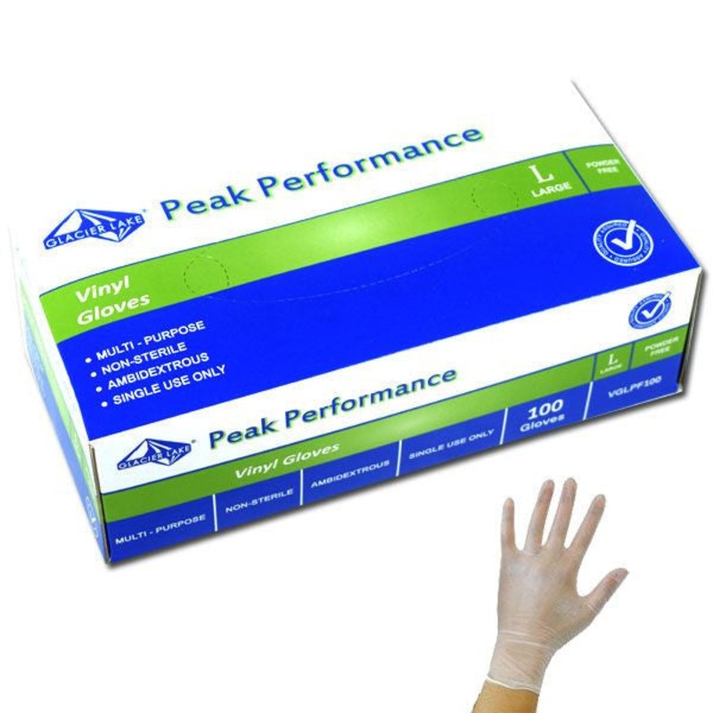 Vinyl Disposable Gloves Powder Free Large 100 Count
