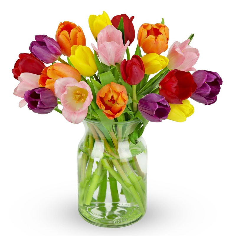 Benchmark Bouquets - 20 Stem Rainbow Tulips (Glass Vase Included) - Fresh Flowers For Delivery - Gift For Graduation, Birthday,