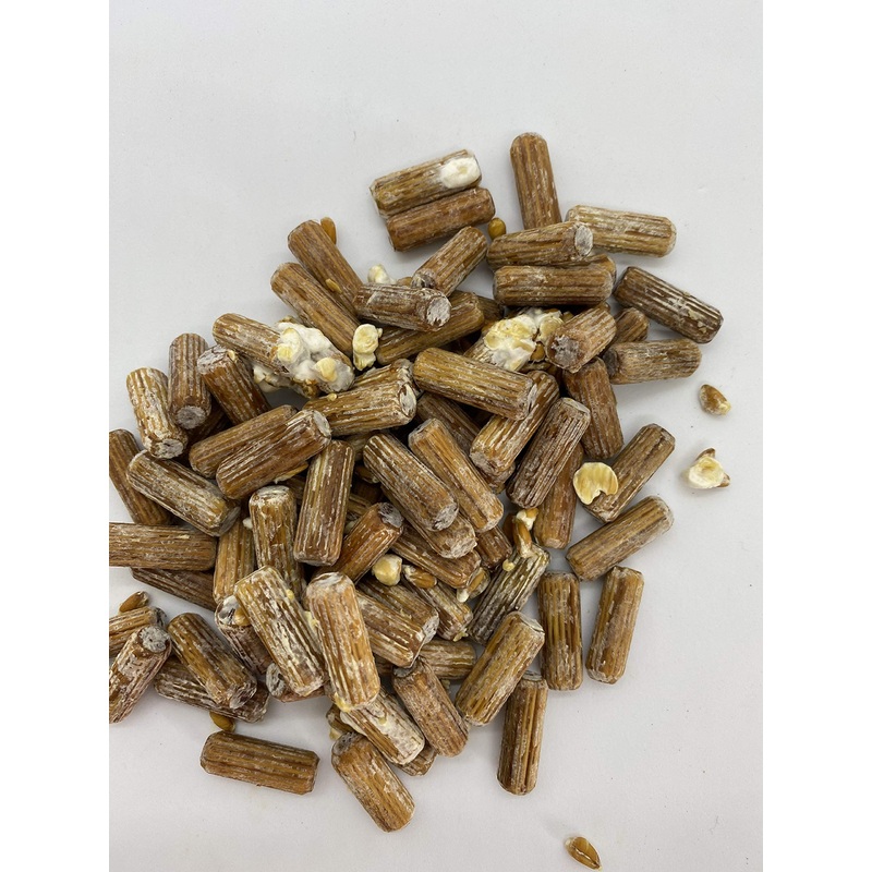 50 Count Shiitake Plug Spawn