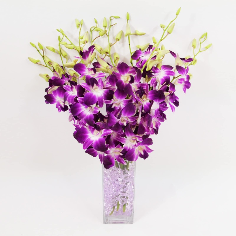 Athenas Garden Fresh Cut Orchids Purple 10 Stems Sonia Dendrobium Orchids Flowers With Vase And Rocks