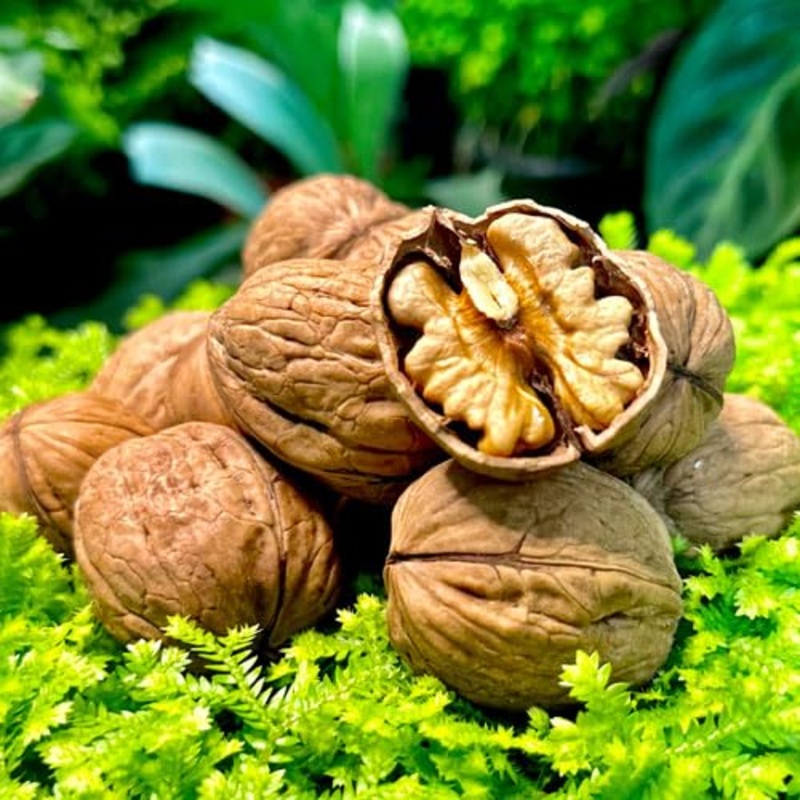 Walnuts In-Shell (Whole) | California Grown (1) Lb Pound