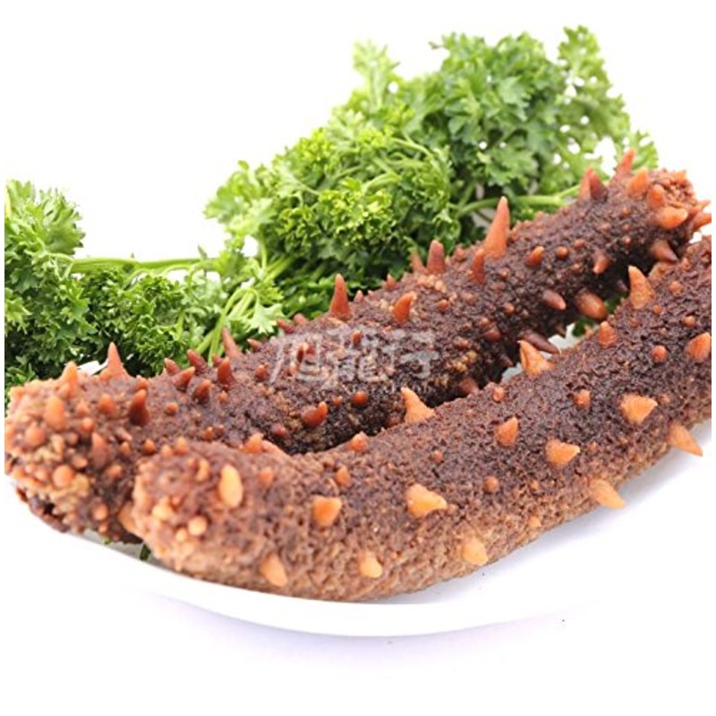 Xlseafood Premium Sun Dried Alaska Sea Cucumber 0.5Lb Size Large   0.5 (Large)