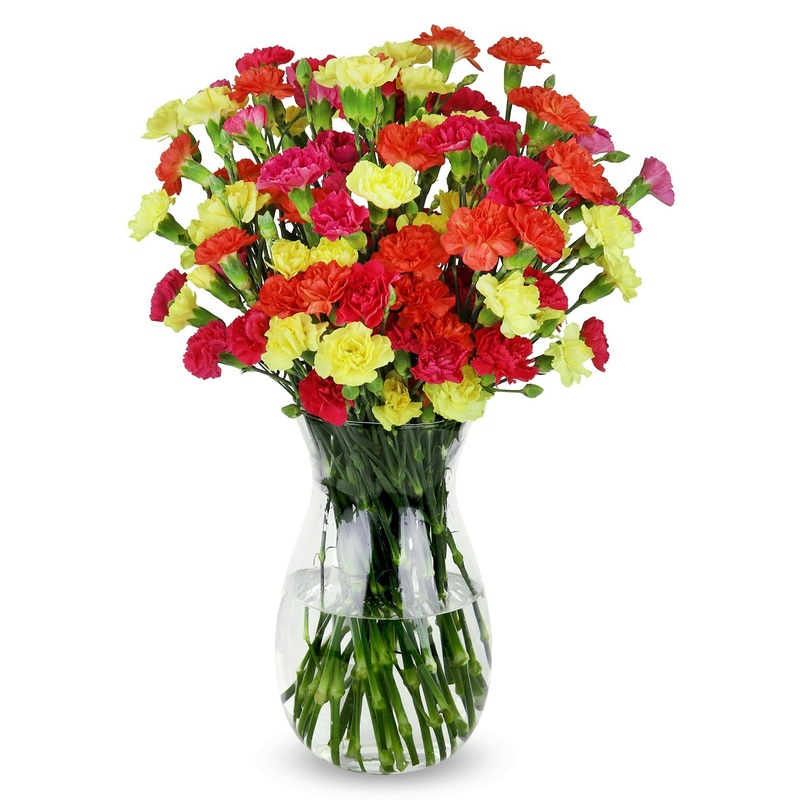 Benchmark Bouquets - 20 Stem Bright Mini Carnations (Glass Vase Included) - Fresh Flowers For Delivery - Gift For Graduation, Bi