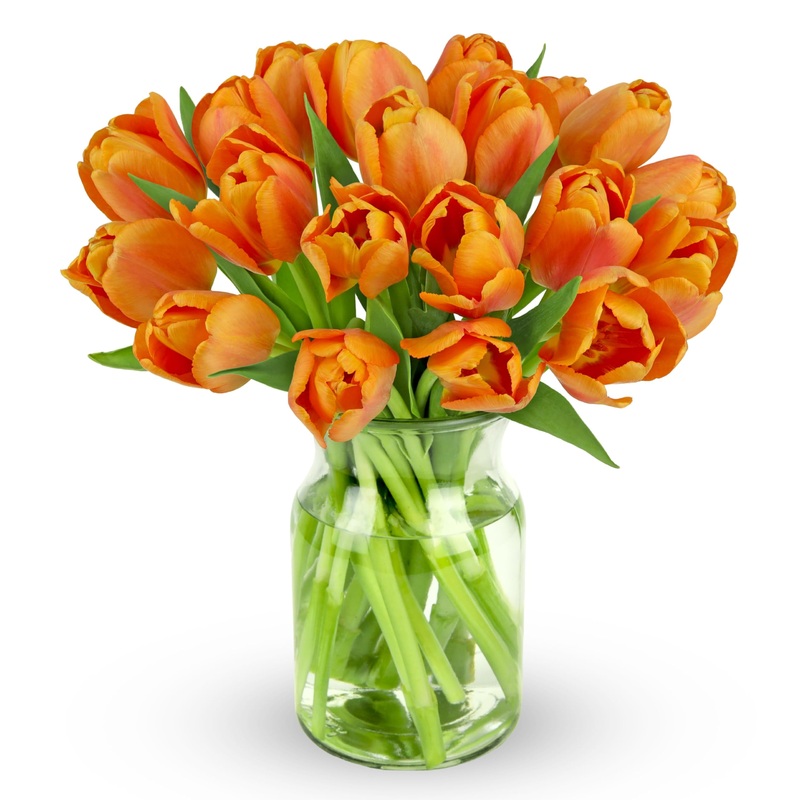 Benchmark Bouquets - 20 Stem Orange Tulips (Glass Vase Included) - Fresh Flowers For Delivery - Gift For Graduation, Birthday, A