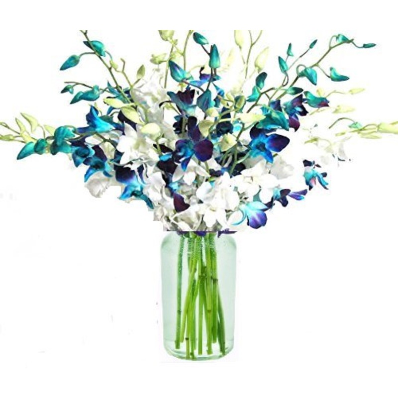 20 Blue And White Orchids With Vase