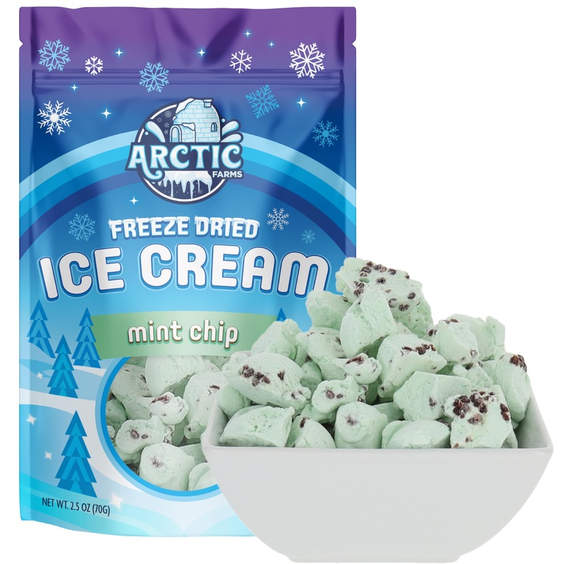 Arctic Farms Freeze Dried Ice Cream Bits Bagged And Boxed - Does Not Melt (Mint Chocolate Chip, 2.5Oz)