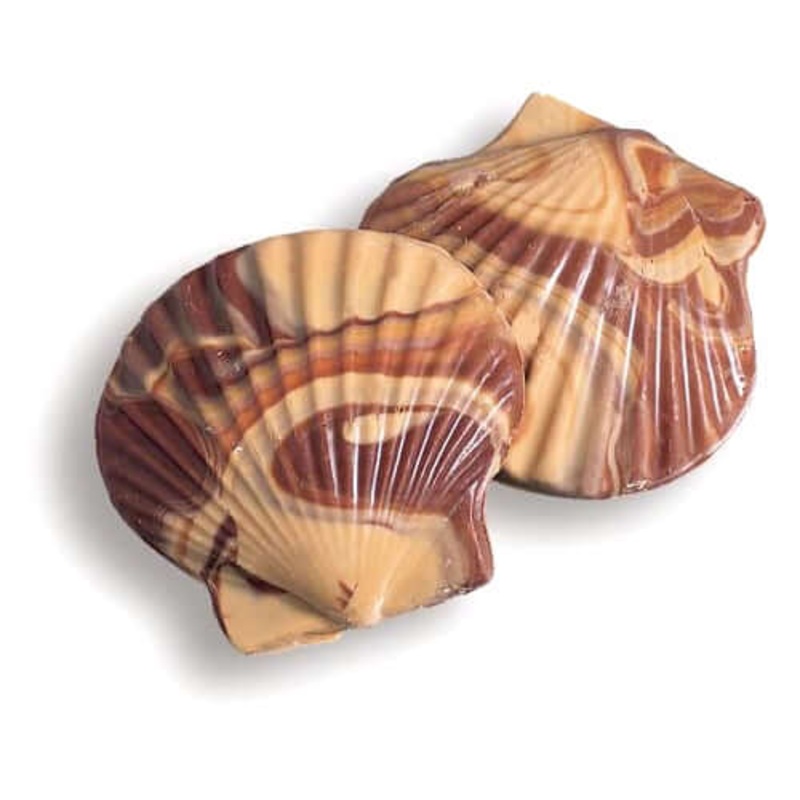 Asher Sea Shells - Milk Chocolate & Peanut Butter