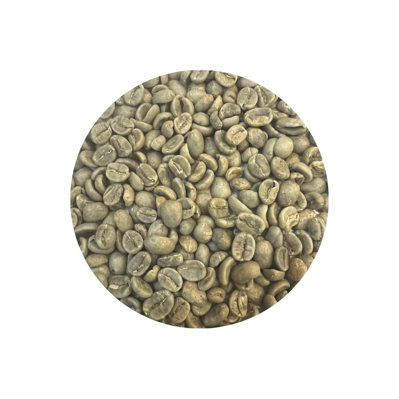 Roastika - Premium Green Coffee Bean - Costa Rica Tarrazu - 5Lb Single Origin - Unroasted Coffee Bean