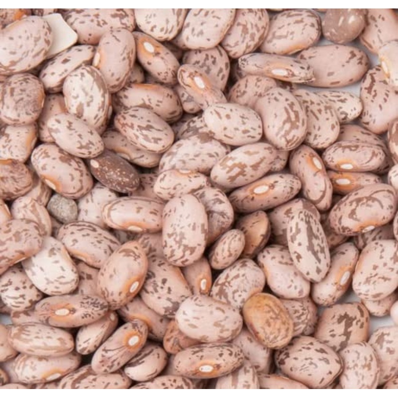 Pinto Beans Dry Bulk 20 Lbs (Bulk In Box) Non-Gmo Dove Creek, Colorado, Usa, Sombrero Frijol Beans