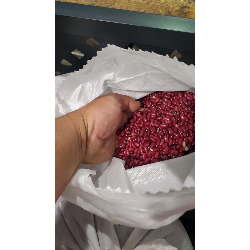 Frijol Rojo De Seda Nicaraguense!!