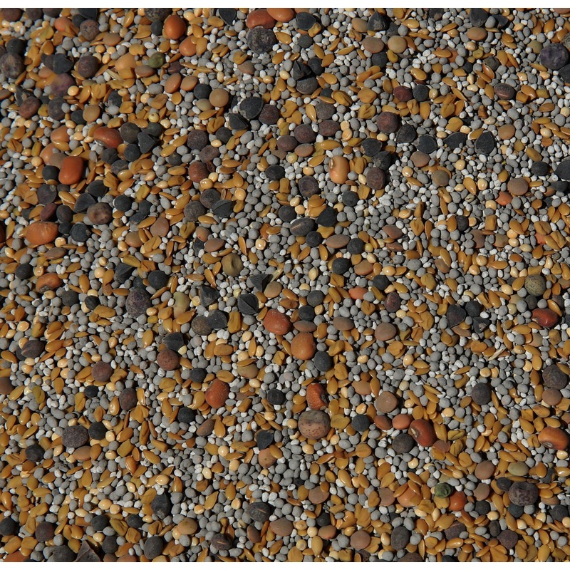 No-Till Cover Crop 13-Seed Mix: 50% Clovers Plus Fenugreek, Vetch, Flax, Cowpeas, Buckwheat, Forage Peas, Millet, Lentils (45-Lb