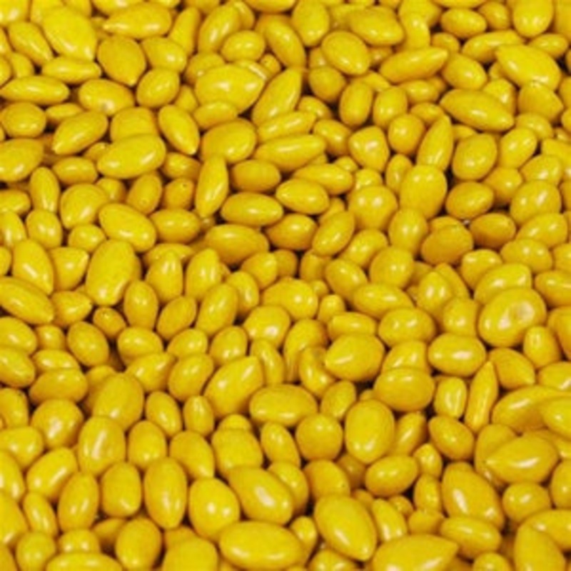 Yellow Sunflower Seeds Candy - 5lb Bulk