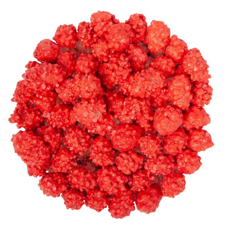 Sconza French Burnt Peanuts - Bulk Bags