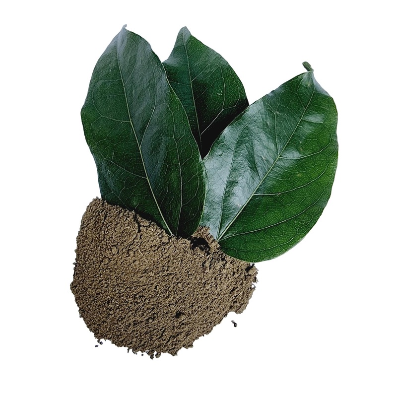 Tiliacora Triandra Powder, Made From 100% Tiliacora Triandra - Pure, Natural Bai Yanang Leaf - Net Weight: 1.76Oz/50G